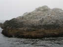 fjordland (41)